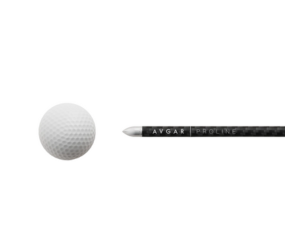 Avgar Proline Carbon Alignment Sticks (2 pack)
