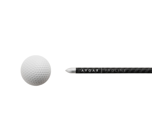 Avgar Proline Carbon Alignment Sticks (2 pack)
